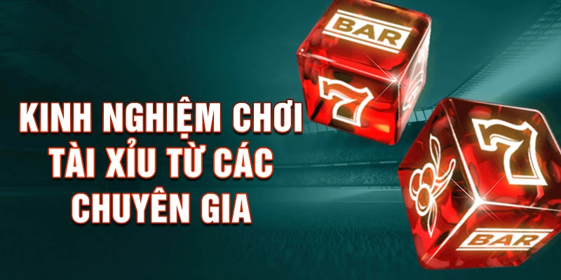 Kinh Nghiệm Chơi Tài Xỉu Từ Các Chuyên Gia